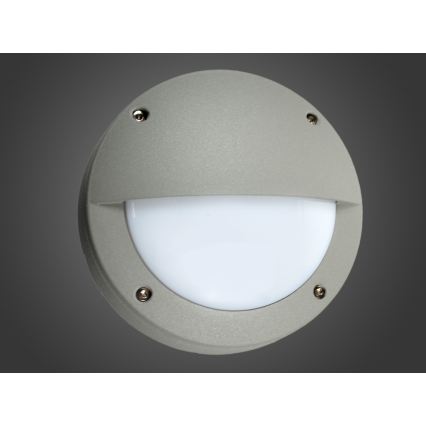 LED välisseinavalgusti JORDI LED/3W/230V IP54 hall