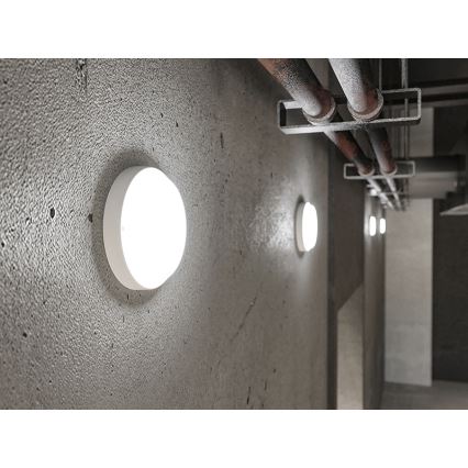 LED välisseinavalgusti LED/18W/230V IP54 valge