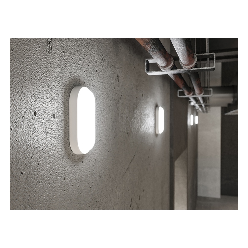 LED-välisseinavalgusti LED/6W/230V IP54 valge