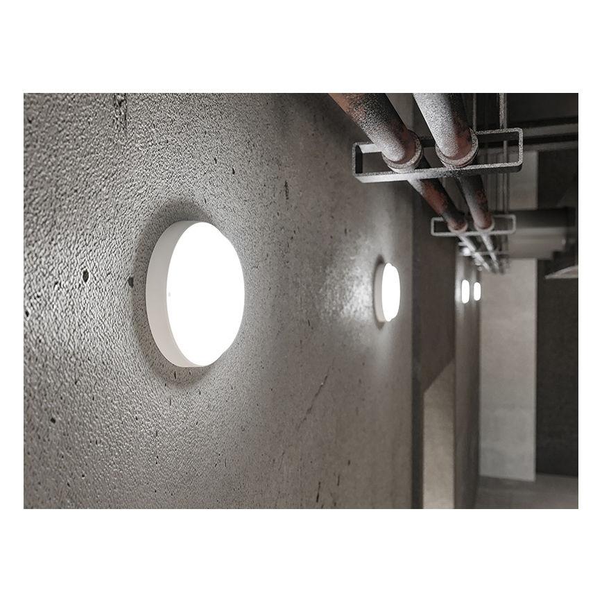 LED välisseinavalgusti LED/9W/230V IP54 valge