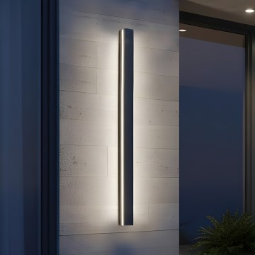 LED välisseinavalgusti MIRANA LED/25W/230V 4000K IP44 120 cm must