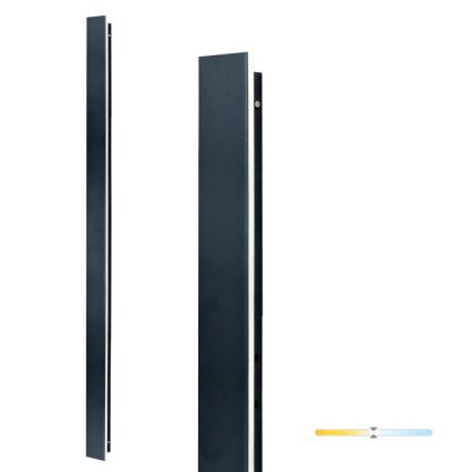 LED välisseinavalgusti MIRANA LED/25W/230V 4000K IP44 120 cm must