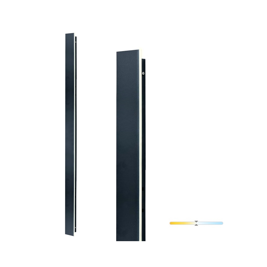 LED välisseinavalgusti MIRANA LED/25W/230V 4000K IP44 120 cm must