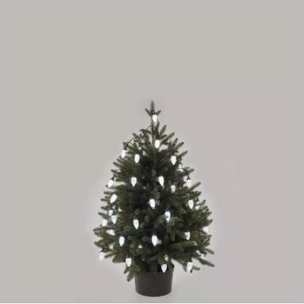 LED välistingimuste valguskett 50 LED / 8 funktsiooni 14,8 m IP44 külmvalge