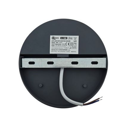 LED välistingimustele mõeldud seinavalgusti liikumisanduriga LED/18W/230V IP44 valge