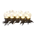 LED välistingimustes dekoratiivne valguskett 10xLED/10m IP44 läbipaistev