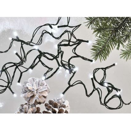 LED-välisvalguskett 40xLED/9m IP44 külmvalge