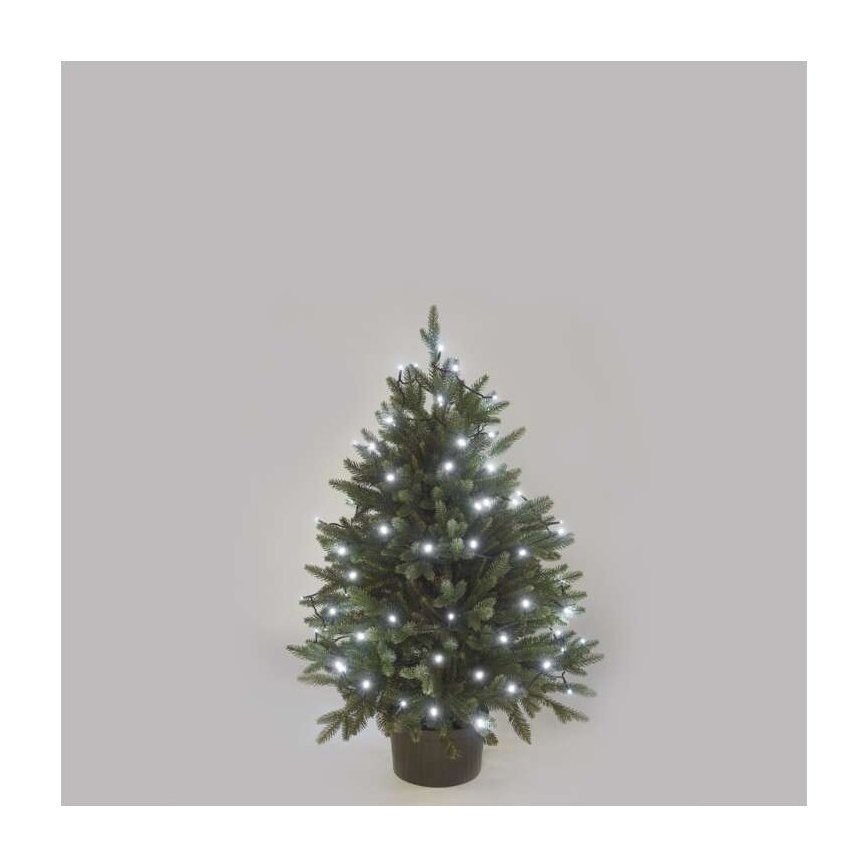 LED-välisvalguskett 40xLED/9m IP44 külmvalge