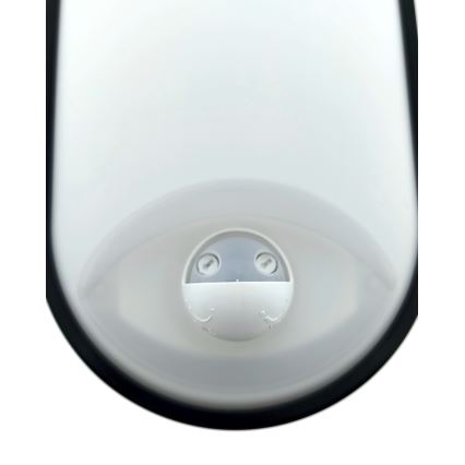 Hämardatav LED-välisseinavalgusti liikumisanduriga LED/12/15/18W/230V 3000K/4000K/6500K IP65 must/valge