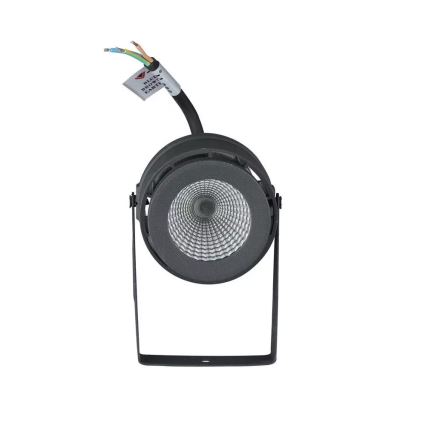 LED Välivalgusti LED/12W/100-240V IP65 hall - roheline tuli