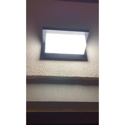 LED Välivalgusti seinale anduriga LED/12W/230V IP54 must