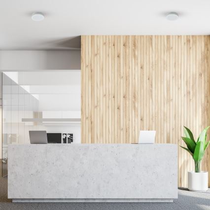 LED-vannitoa laelamp MARLON LED/12W/230V, läbimõõt 18 cm, IP54, valge