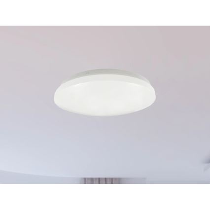 LED-vannitoa laelamp OPAL LED/12W/230V Ø 24,5 cm IP44 valge