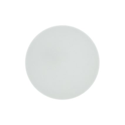 LED vannitoa laelamp RIMA LED/10W/230V Ø 22,5 cm IP44 valge