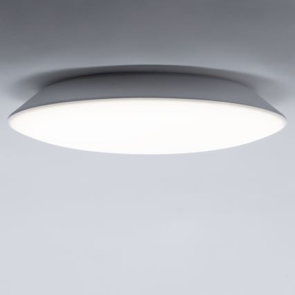 LED Vannitoa laevalgusti AVESTA LED/12W/230V 4000K IP54