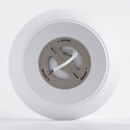 LED Vannitoa laevalgusti AVESTA LED/12W/230V 4000K IP54