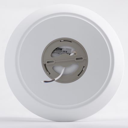 LED Vannitoa laevalgusti AVESTA LED/18W/230V 4000K IP54