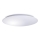 LED Vannitoa laevalgusti AVESTA LED/28W/230V 4000K IP54