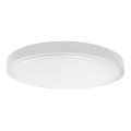 LED vannitoa laevalgusti LED/18W/230V 4000K IP44 läbimõõt 25 cm valge