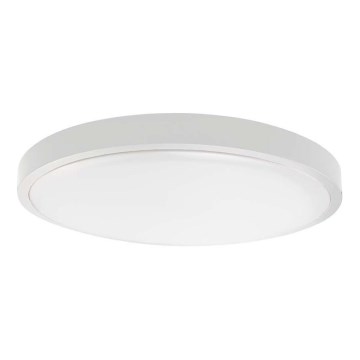 LED vannitoa laevalgusti LED/18W/230V 4000K IP44 läbimõõt 25 cm valge