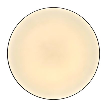 LED Vannitoa laevalgusti MOON LED/18W/230V must IP44