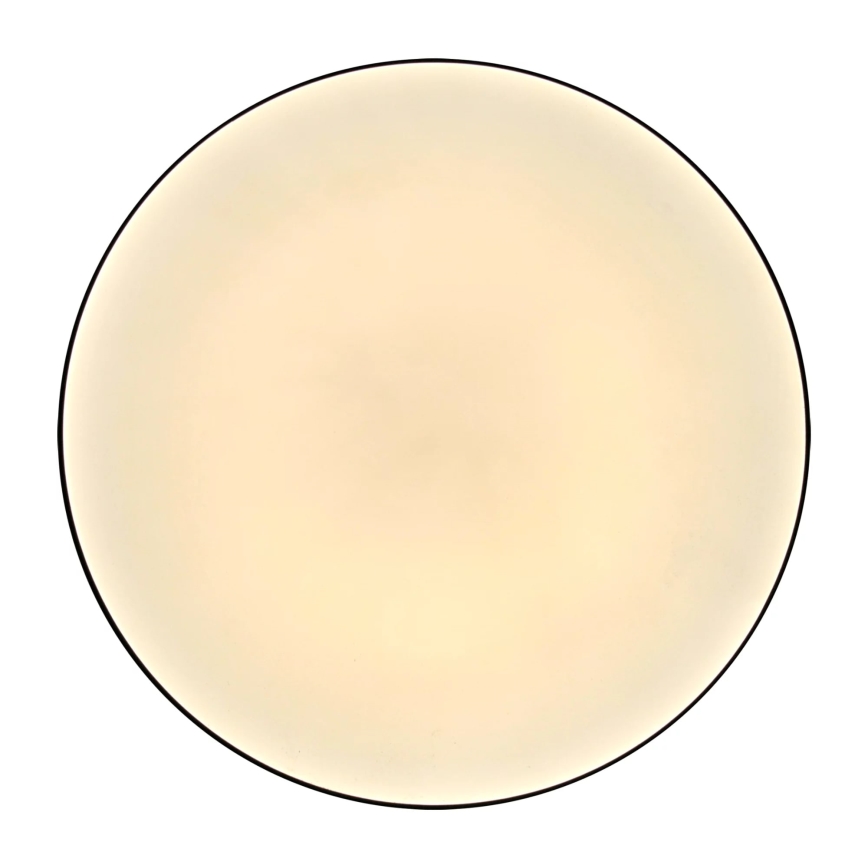 LED Vannitoa laevalgusti MOON LED/18W/230V must IP44