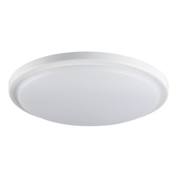 LED Vannitoa laevalgusti ORTE LED/24W/230V IP54