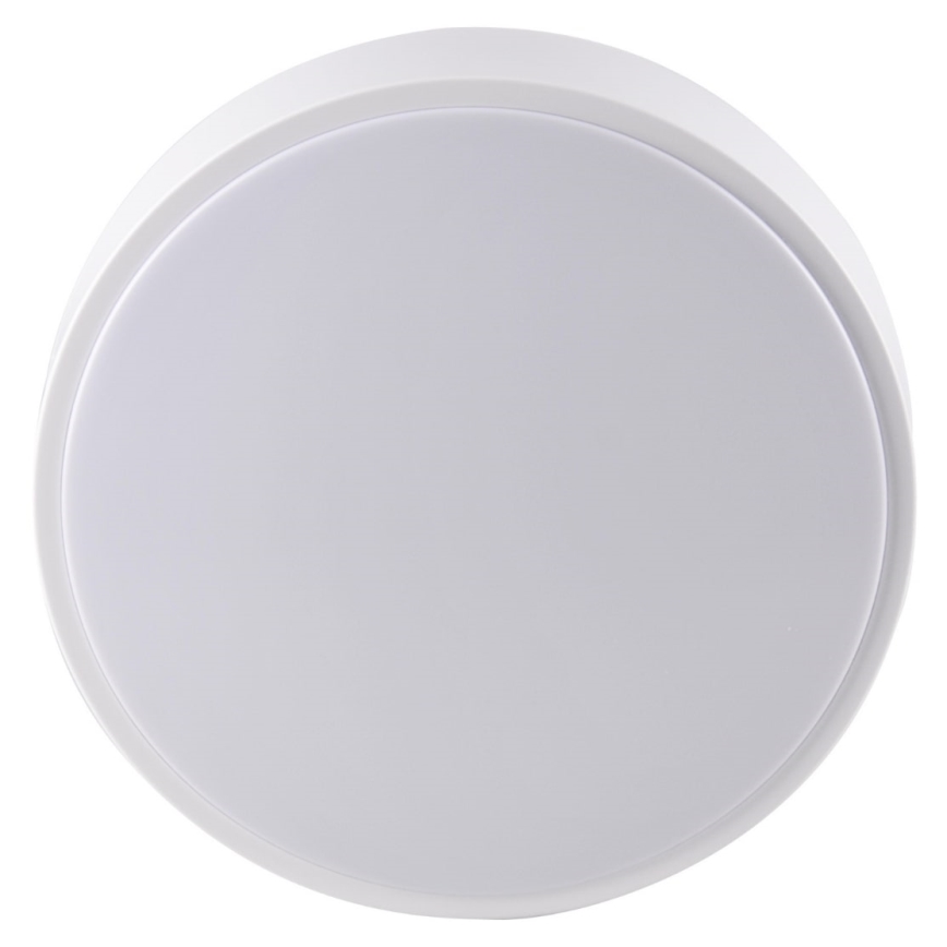 LED Vannitoa laevalgusti RENE LED/15W/230V IP44 valge