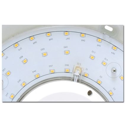 LED Vannitoa laevalgusti VICTOR LED/25W/230V IP44