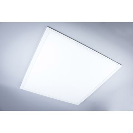 LED Pinnale kinnitatav valguspaneel vannituppa LED/40W/230V 4000K 59,5x59,5 cm IP65 valge
