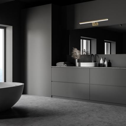 LED vannitoa peegli valgusti SHINE LED/13,8W/230V 60 cm IP44 messing