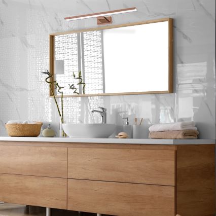 LED-vannitoa peegli valgustus SHINE LED/13,8W/230V 60 cm IP44 roosakuldne