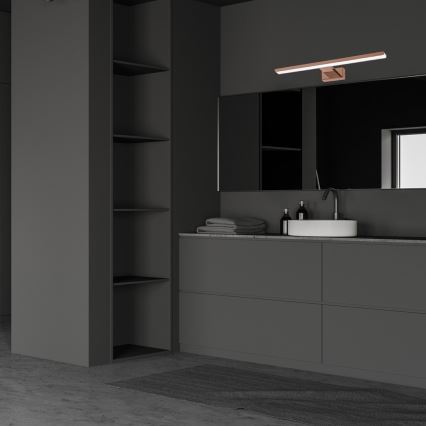 LED-vannitoa peegli valgustus SHINE LED/13,8W/230V 60 cm IP44 roosakuldne