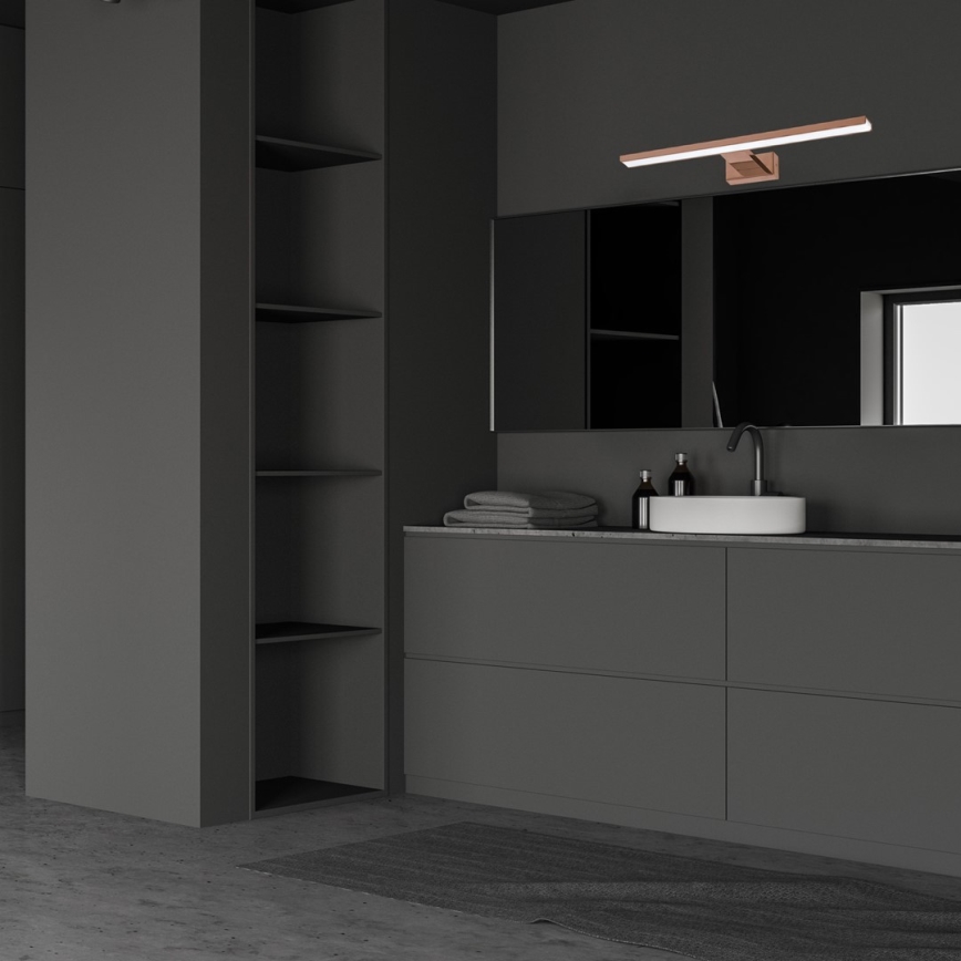 LED-vannitoa peegli valgustus SHINE LED/13,8W/230V 60 cm IP44 roosakuldne