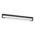 LED Vannitoa seinavalgusti DEKSTER LED/36W/230V IP44 must