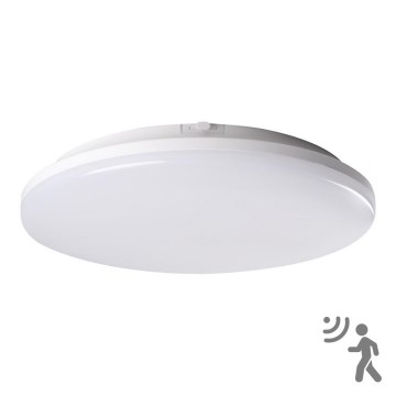 LED Vannitoavalgusti koos anduriga STIVI LED/24W/230V IP65