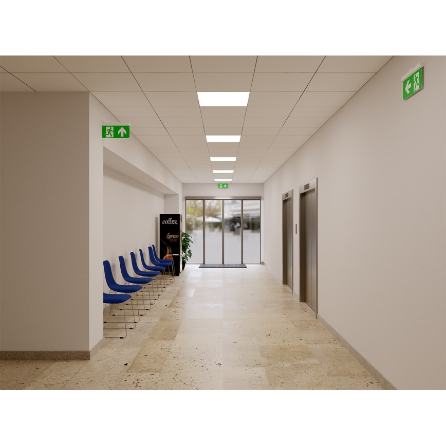 LED2 - LED Avariivalgusti SAFE ALL LED/2W/3,6V 6000K IP40