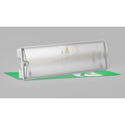 LED2 - LED Avariivalgusti SAFE ON LED/3W/3,6V 6000K IP65