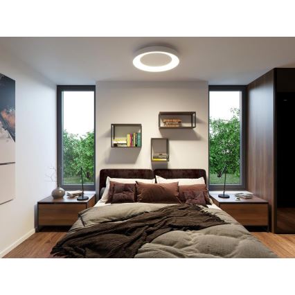 LED2 - LED Hämardatav laevalgusti BELLA LED/80W/230V 3000K/4000K valge