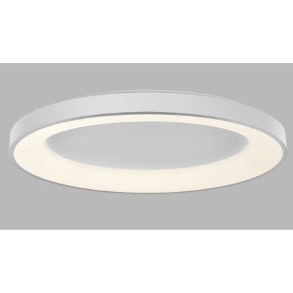 LED2 - LED Hämardatav laevalgusti BELLA LED/80W/230V 3000K/4000K valge