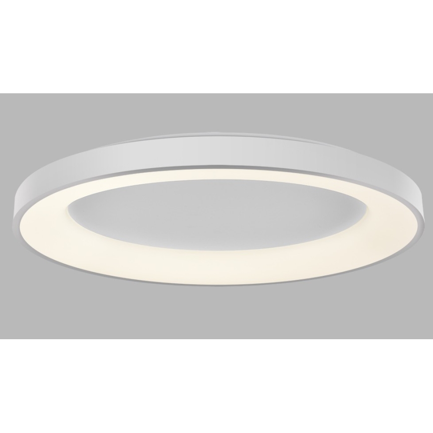 LED2 - LED Hämardatav laevalgusti BELLA LED/80W/230V 3000K/4000K valge