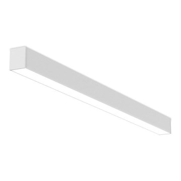LED2 - LED Hämardatav laevalgusti NOLI LED/40W/230V 3000K/3500K/4000K valge