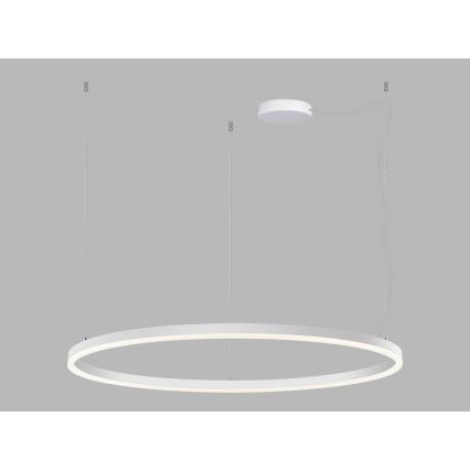 LED2 - LED Hämardatav lühter CIRCLE LED/80W/230V 3000K/4000K d. 100 cm valge