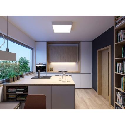 LED2 - LED Laevalgusti MILO LED/30W/230V valge 3000/4000K