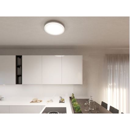 LED2 - LED Laevalgusti ROUND LED/25W/230V IP54 3000/4000/5700K