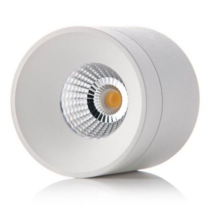 LED2 - LED Laevalgusti TINY LED/8W/230V valge