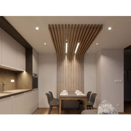 LED2 - LED Süvistatav valgusti SPOT LED/9W/230V valge IP44