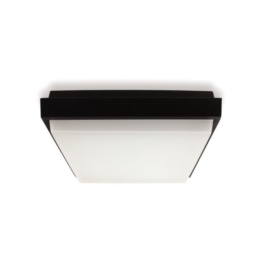 LED2 - LED Väli laevalgusti QUADO LED/10W/230V antratsiit IP54