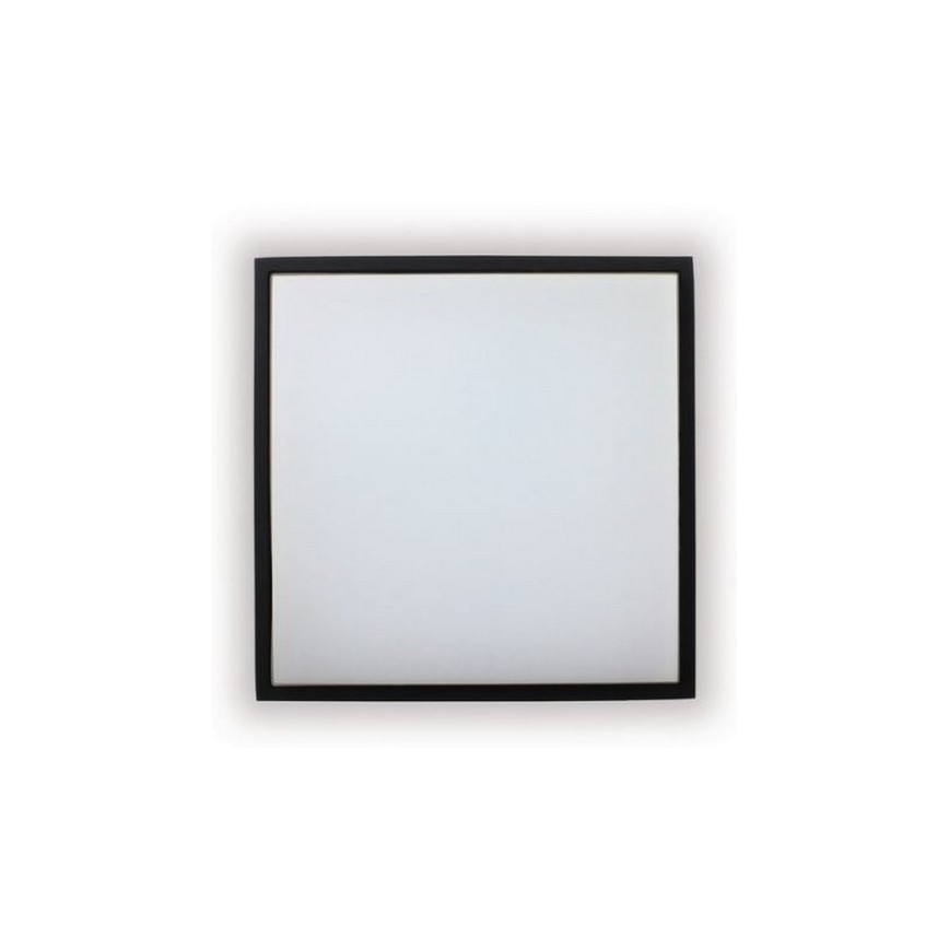 LED2 - LED Väli laevalgusti QUADO LED/10W/230V antratsiit IP54
