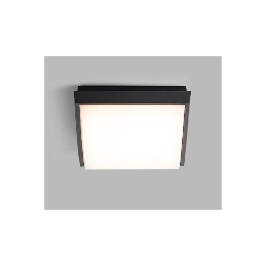 LED2 - LED Väli laevalgusti QUADO LED/10W/230V antratsiit IP54